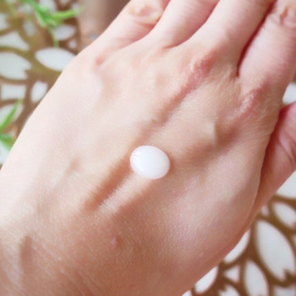 ザ ベース ローション/Nst/化粧水を使ったクチコミ(5枚目)