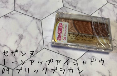 トーンアップアイシャドウ/CEZANNE/アイシャドウパレットを使ったクチコミ（1枚目）