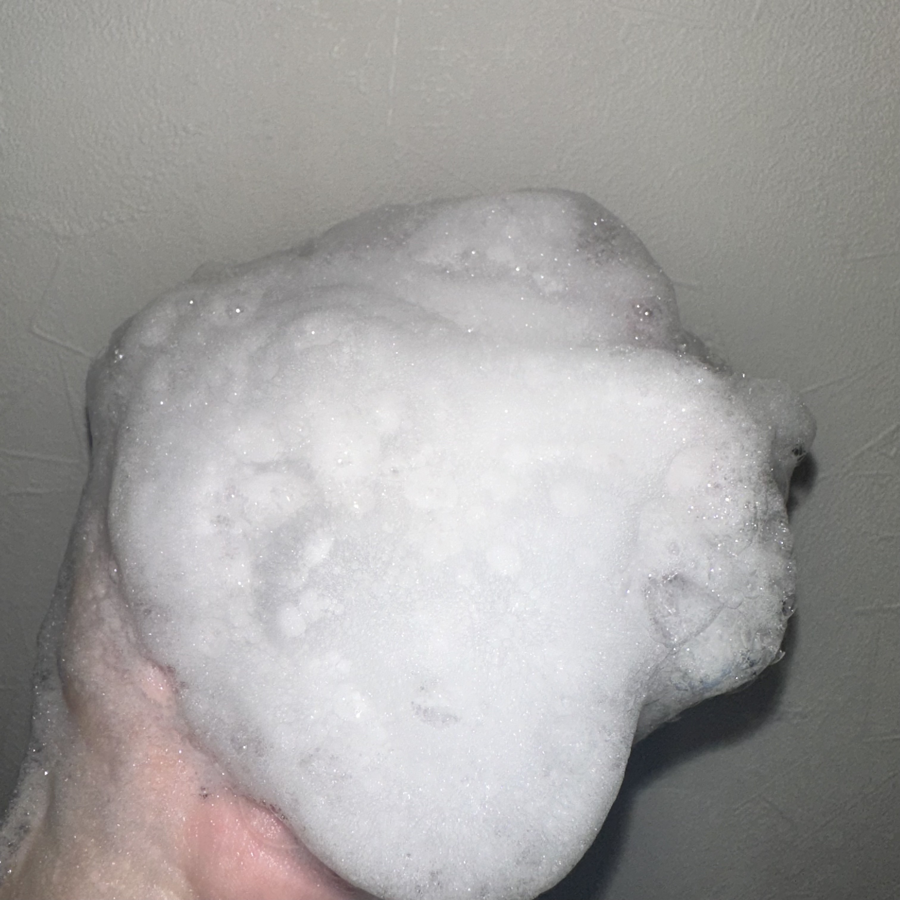 HCクレンジングフォーム/allNATURAL/洗顔フォームを使ったクチコミ（2枚目）