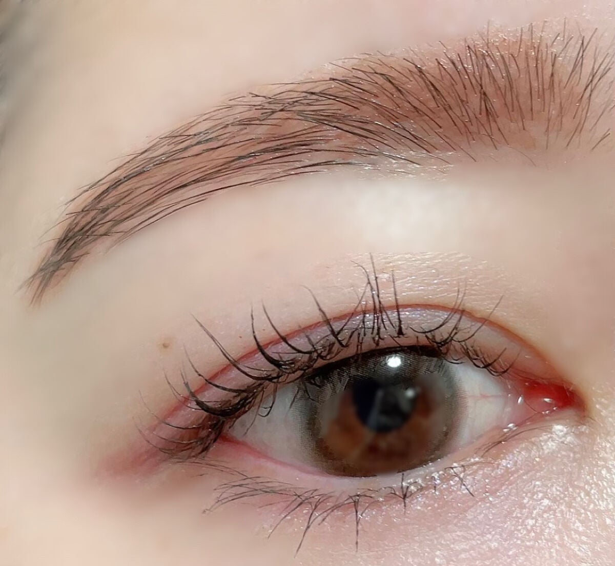 アイブロウワックス/スウィーツ スウィーツ/その他アイブロウを使ったクチコミ(4枚目)