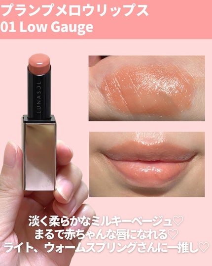プランプメロウリップス/LUNASOL/口紅を使ったクチコミ(3枚目)