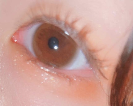 MOLAK 1day/MOLAK/ワンデー(1DAY)カラコンを使ったクチコミ(2枚目)