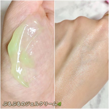 CICA クリーム/VT/フェイスクリームを使ったクチコミ(8枚目)