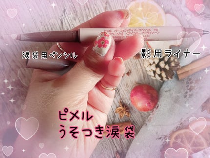 ピメル パーフェクトアイバッグペンシル/pdc/リキッドアイライナーを使ったクチコミ(5枚目)