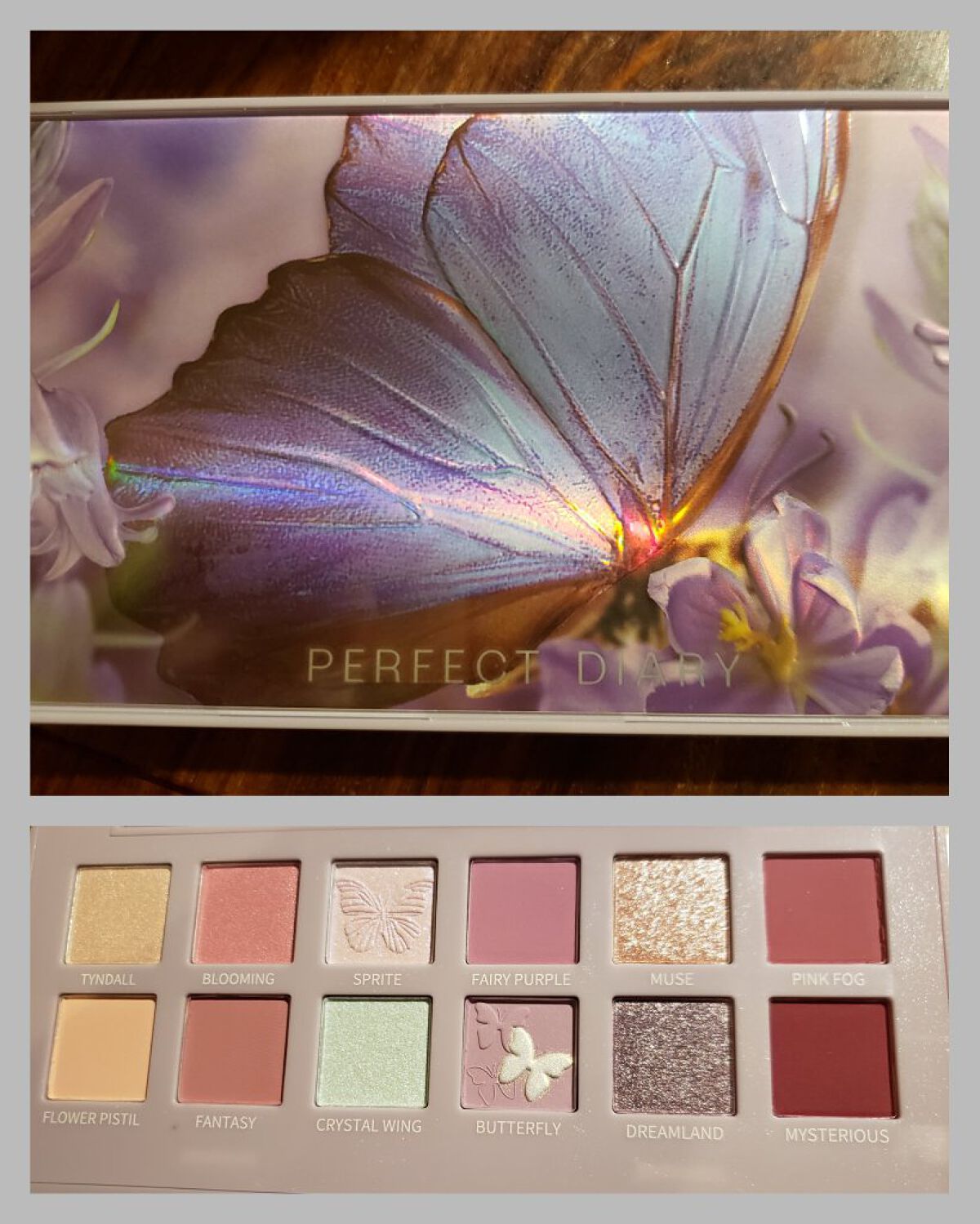 エクスプローラ12色 動物アイシャドウパレット/PERFECT DIARY/アイシャドウパレットを使ったクチコミ（1枚目）