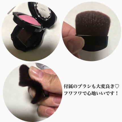 フォギーオンチークス N/Visée/パウダーチークを使ったクチコミ(4枚目)