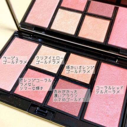 アイ & チーク コンパクトアディクション “ストーリー オブ ライフ”/ADDICTION/アイシャドウパレットを使ったクチコミ(6枚目)