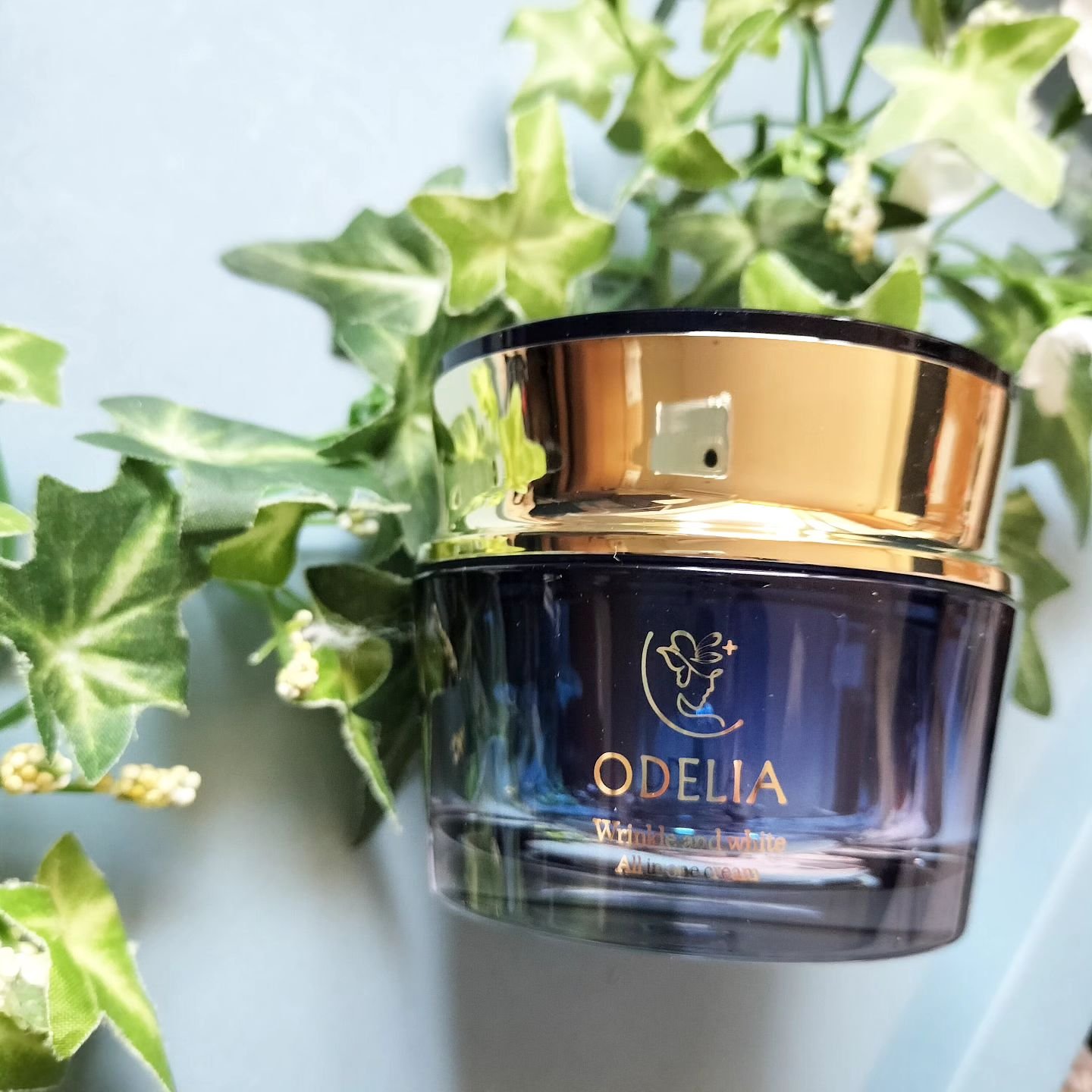 リンクル＆ホワイト オールインワンクリーム/ODELIA/オールインワン化粧品を使ったクチコミ（1枚目）