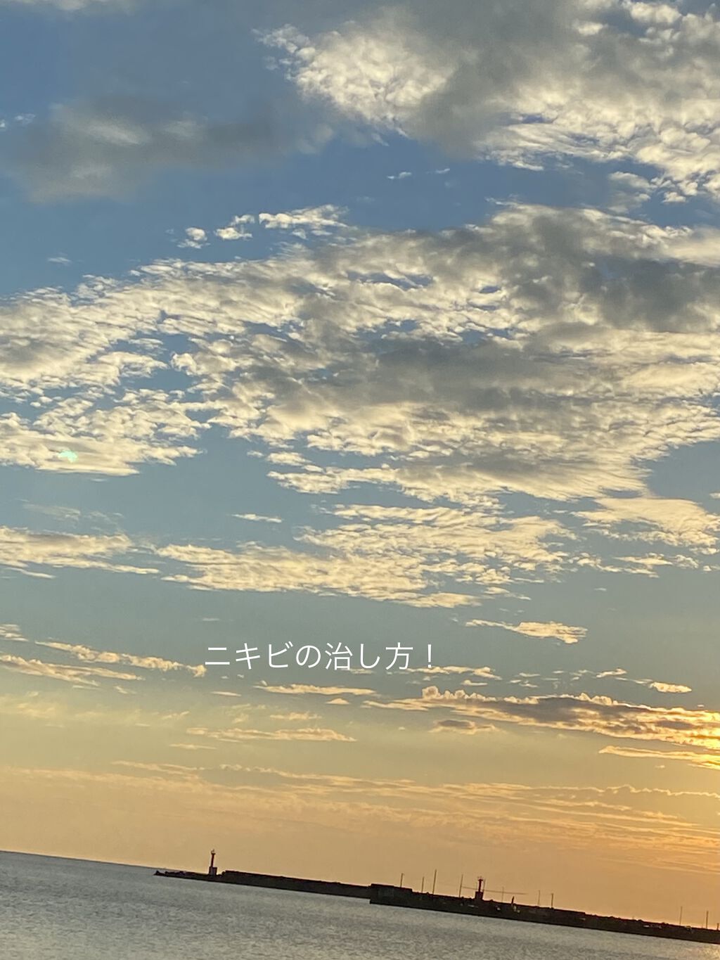 ハトムギ化粧水(ナチュリエ スキンコンディショナー R )/ナチュリエ/化粧水を使ったクチコミ（1枚目）