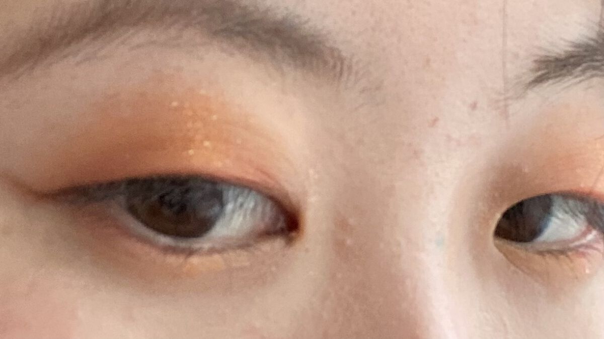 アイシャドウブラシS/フェリセラ/メイクブラシを使ったクチコミ（3枚目）