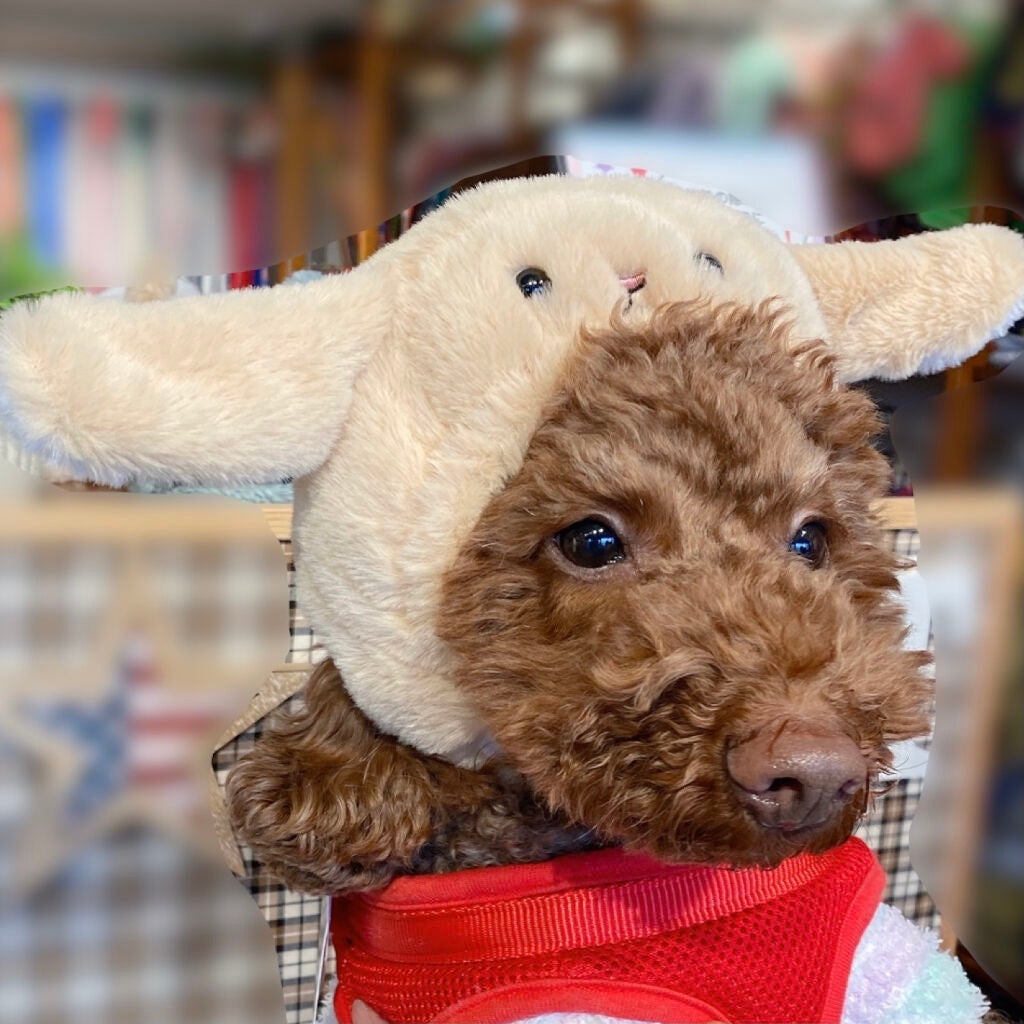 ラブ・ライナー リキッドアイライナーR3/ラブ・ライナー/リキッドアイライナーを使ったクチコミ(6枚目)