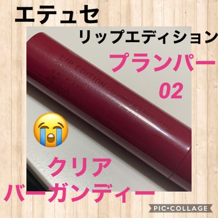 エテュセ リップエディション(プランパー)リッチスタイル/ヘルシースタイル/ettusais/リップケアを使ったクチコミ(1枚目)