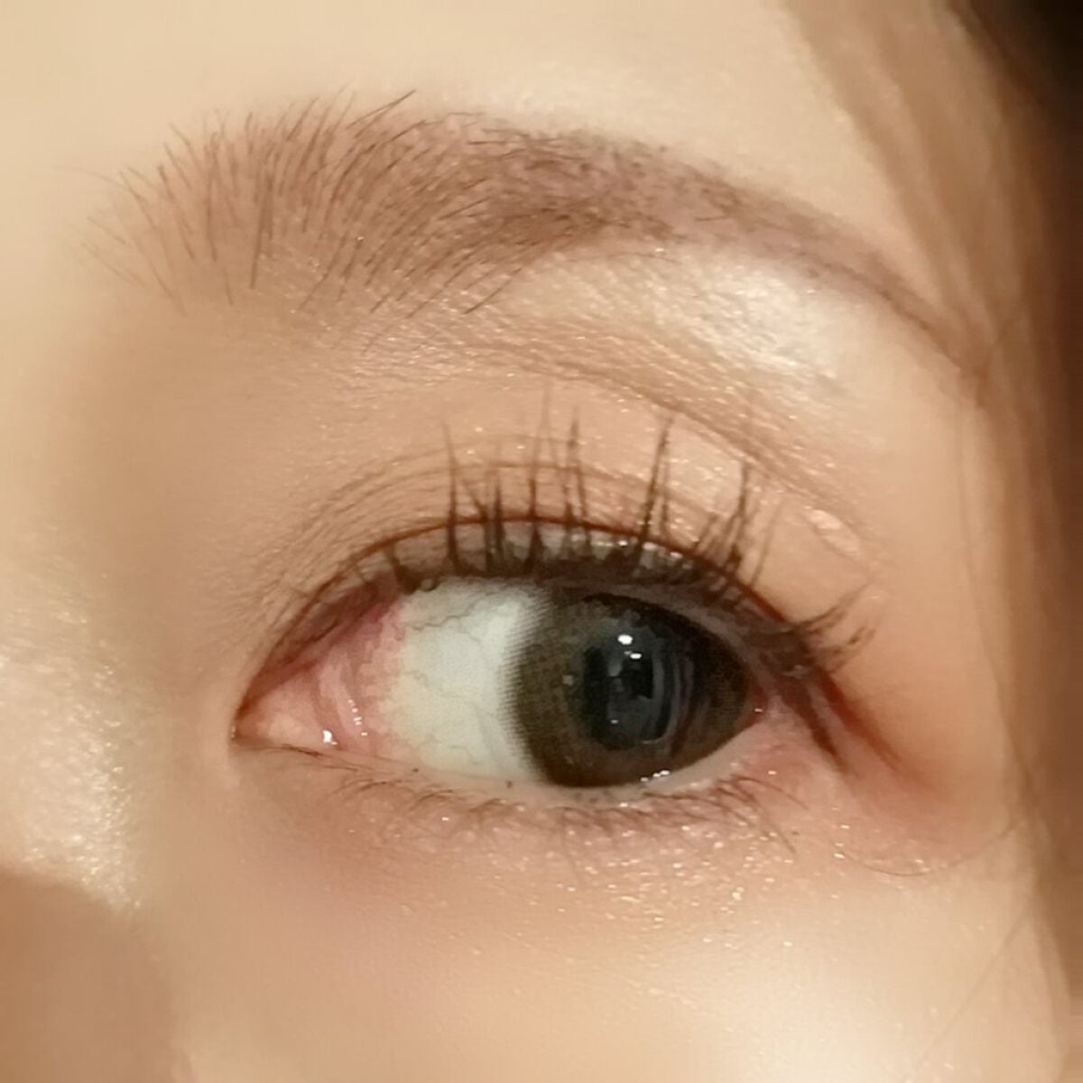 ウォンジョンヨ ヌードアイラッシュ/Wonjungyo/マスカラを使ったクチコミ(5枚目)