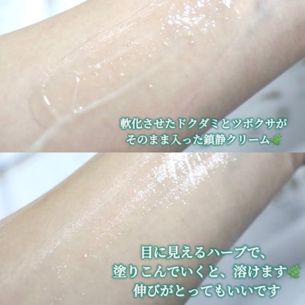 ハーブインフューズドカーミングクリーム/CHICHO/フェイスクリームを使ったクチコミ(7枚目)