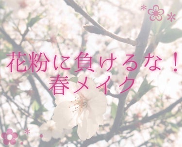 🍷プレイオンメイク マイシャドウパレット ワイン🍷


すっかり暖かくなってもう春ですね、Linaです。
春と言えばあたりまえです、ピンクメイクの季節です。ということで今回はプレイオンメイクさんのマイシ