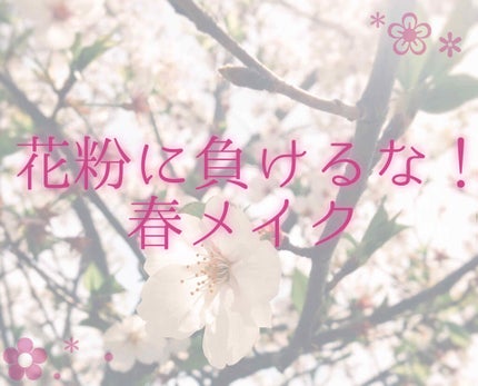 マイシャドウパレット/play on make/アイシャドウパレットを使ったクチコミ(1枚目)