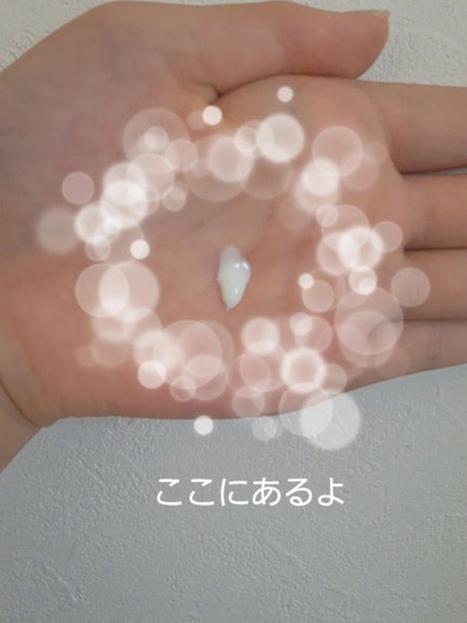 を使ったクチコミ(2枚目)