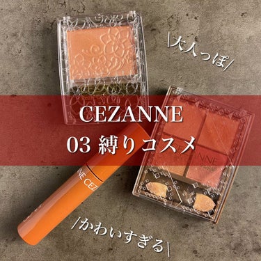 ニュアンスオンアイシャドウ/CEZANNE/アイシャドウパレットを使ったクチコミ（1枚目）