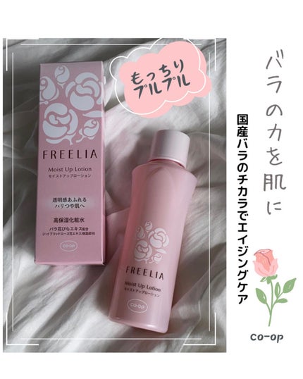 フリーリア モイストアップローションD/コープ/化粧水を使ったクチコミ(1枚目)