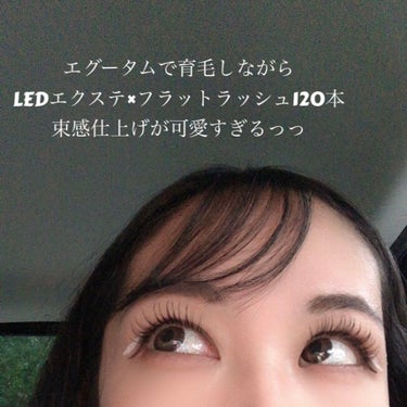 
☆最近の私のまつ毛事情☆

LEDエクステ
フラットラッシュ120本

真ん中長めのデザインで
目頭から10mm、12mm、10mm

初めてナチュラルな
デザインにしてみたけど、可愛いじゃないか🥺🫰