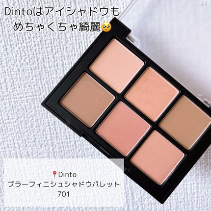 ブラーフィニシュシャドウパレット/Dinto/アイシャドウパレットを使ったクチコミ(5枚目)