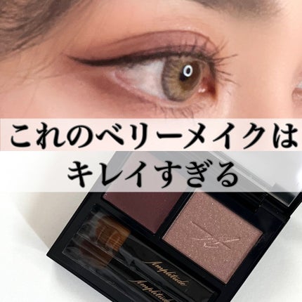 コンスピキュアス ダブルアイズ/Amplitude/アイシャドウパレットを使ったクチコミ(1枚目)