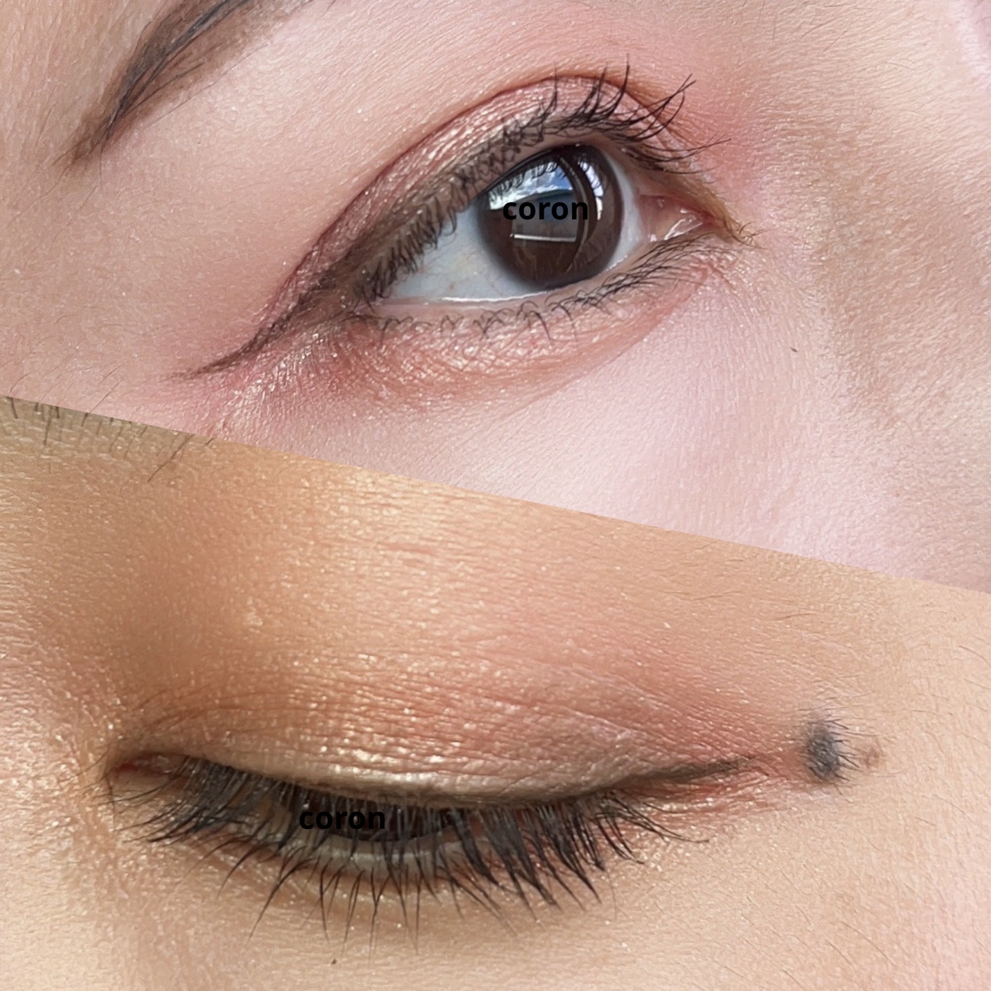 美白ルースパウダー SPF50 PA+++ クリアホワイト/MiMC/日焼け止め・UVケアを使ったクチコミ（2枚目）