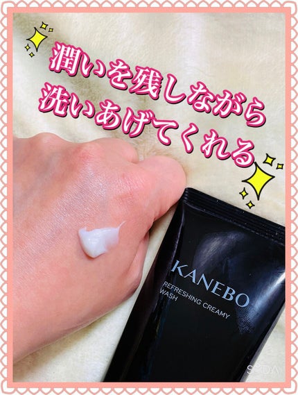 スクラビング マッド ウォッシュ/KANEBO/洗顔フォームを使ったクチコミ(2枚目)
