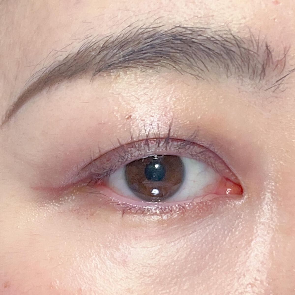 ろく on LIPS 「木曜日はマットなメイクをしたくなる〜🐻#dior#chiotu..」(4枚目)