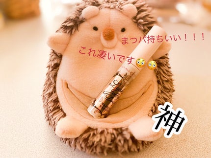 ラッシュジェリードロップ EX/MAJOLICA MAJORCA/まつげ美容液を使ったクチコミ(1枚目)