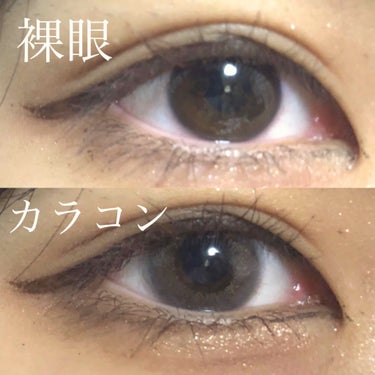 Angelcolor Bambi Series Vintage 1day/AngelColor/ワンデー（１DAY）カラコンを使ったクチコミ（2枚目）