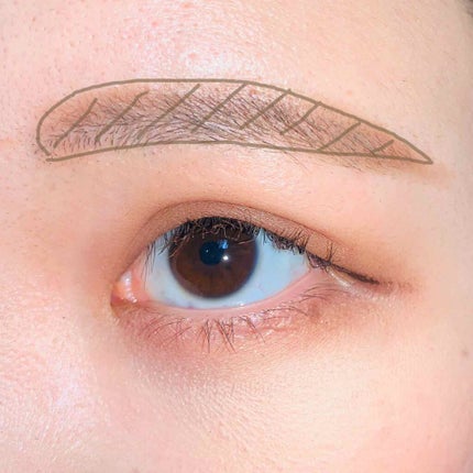 ロイヤルヴィンテージ アイズ/リンメル ロンドン/アイシャドウパレットを使ったクチコミ(3枚目)