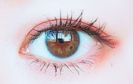 シングルカラーアイシャドウ/CEZANNE/単色アイシャドウを使ったクチコミ(3枚目)