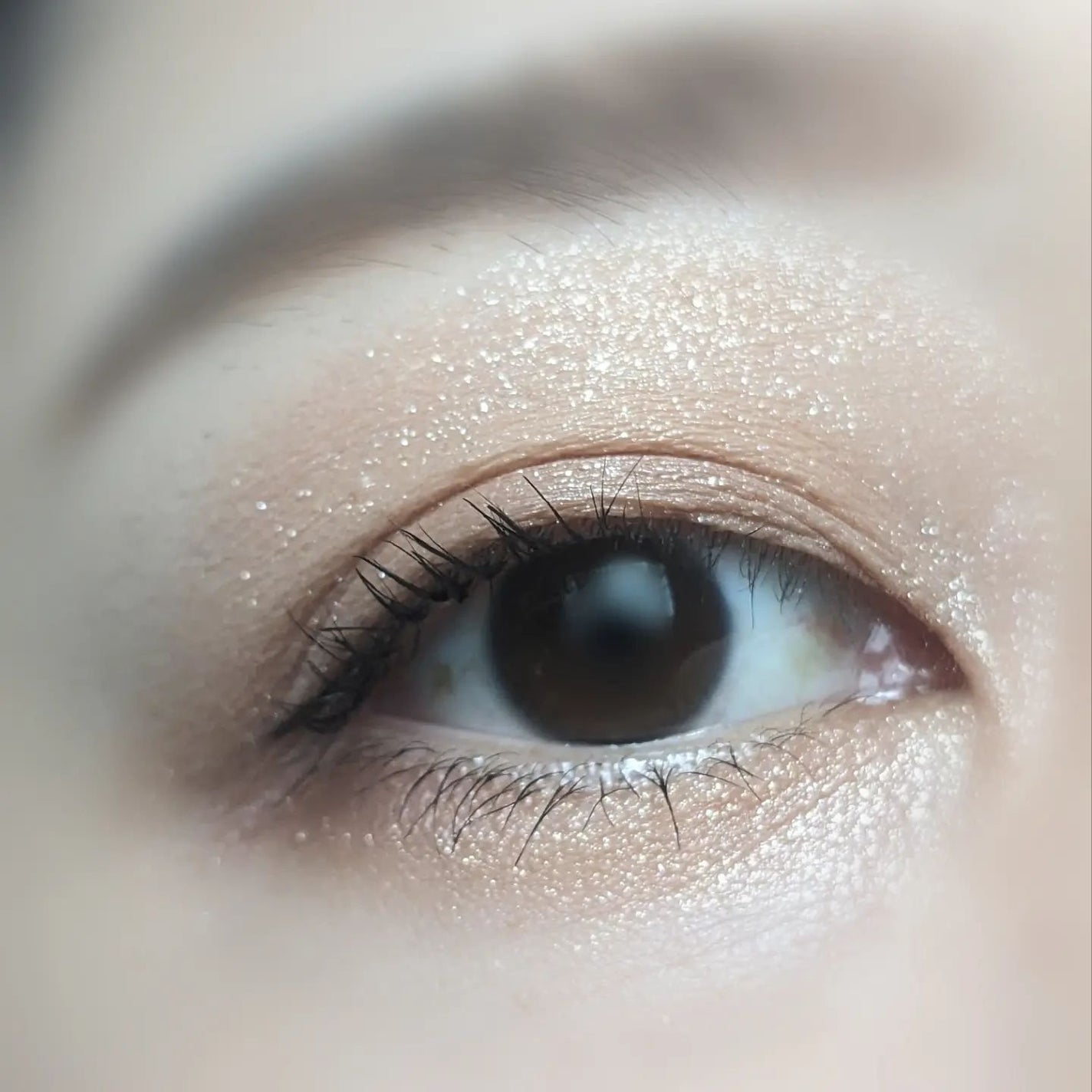 フェイス スタイリスト/SNIDEL BEAUTY/アイシャドウパレットを使ったクチコミ(4枚目)