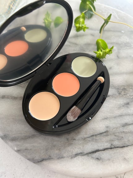 マスクフィット コンシーラーパレット/TIRTIR(ティルティル)/パレットコンシーラーを使ったクチコミ(2枚目)