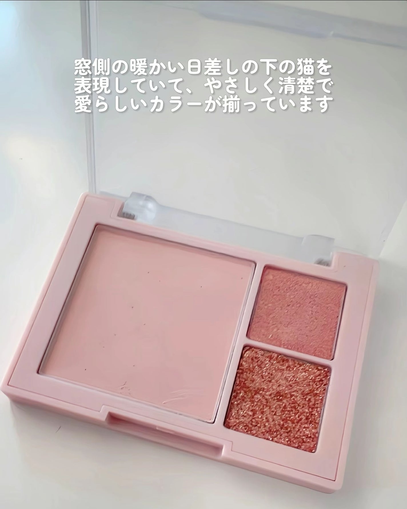 (ルシャブートコレクション)チーク&アイ マルチユーズ パレット/Dinto/パウダーチークを使ったクチコミ(3枚目)