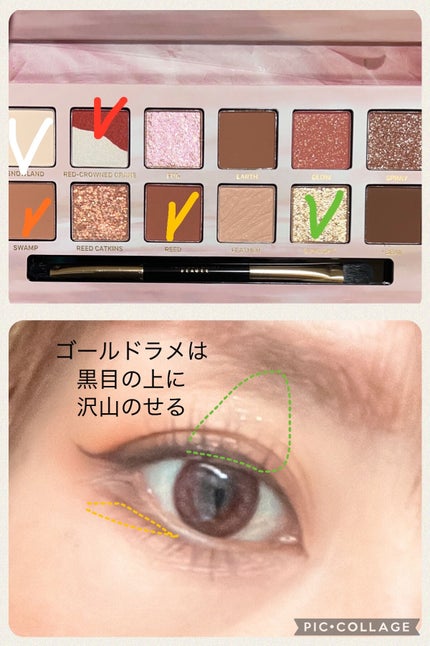 エクスプローラ12色 動物アイシャドウパレット/PERFECT DIARY/アイシャドウパレットを使ったクチコミ(5枚目)