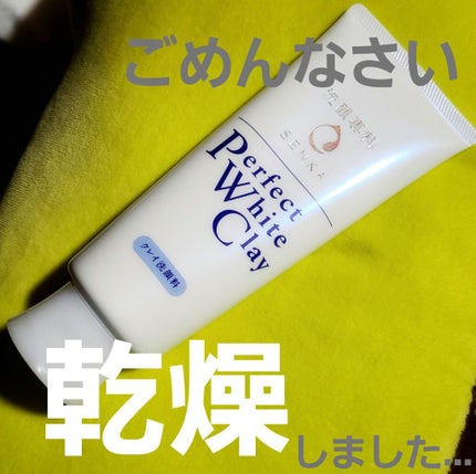 パーフェクトホワイトクレイ/SENKA(専科)/洗顔フォームを使ったクチコミ(1枚目)