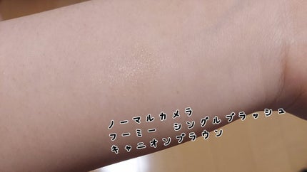 WHOMEE フーミー シングルブラッシュのクチコミ「こんにちは! かぼすです🤍
今回は
WHOMEEシングルブラッシュ キャニオンブラウン
14.....」(2枚目)