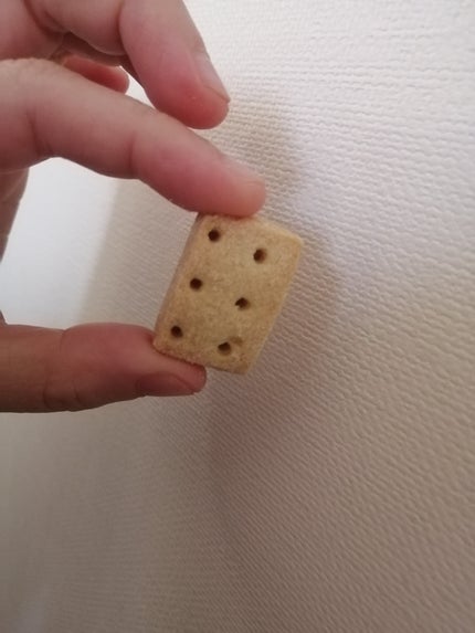 バランスパワー/ハマダコンフェクト/バランス栄養食を使ったクチコミ(6枚目)