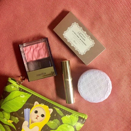 プレミアム パーフェクトクリアコンシーラー/ettusais/パレットコンシーラーを使ったクチコミ(1枚目)