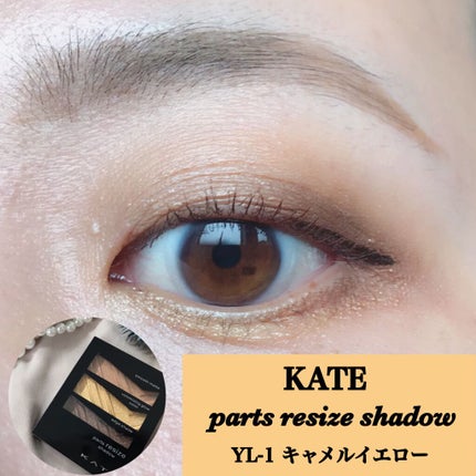 パーツリサイズシャドウ/KATE/アイシャドウパレットを使ったクチコミ(1枚目)