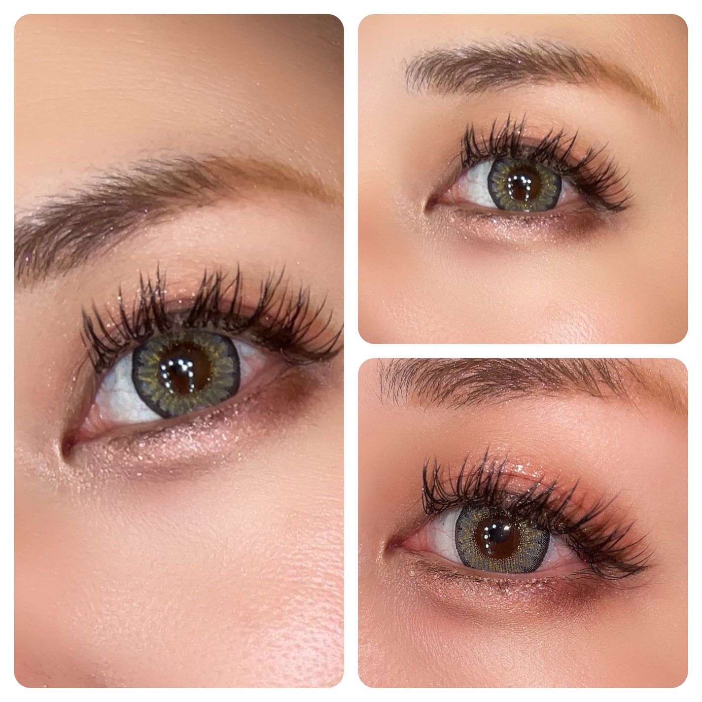 ウォンジョンヨ W デイリームードアップパレット /Wonjungyo/アイシャドウパレットを使ったクチコミ(8枚目)