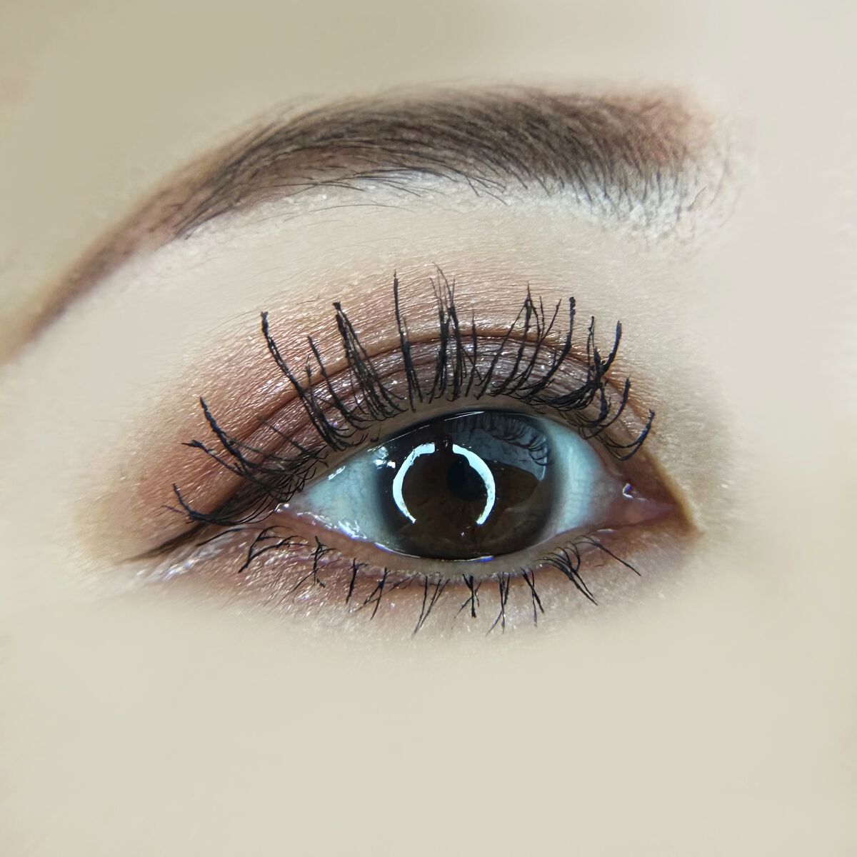 アイカラーレーション スペシャルエディション/LUNASOL/アイシャドウパレットを使ったクチコミ（3枚目）