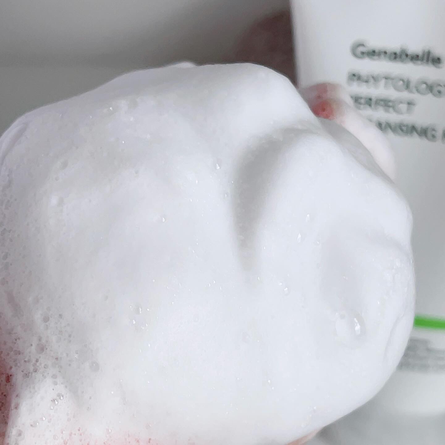 ファイトロジー17パーフェクトクレンジングフォーム/Genabelle/洗顔フォームを使ったクチコミ（3枚目）