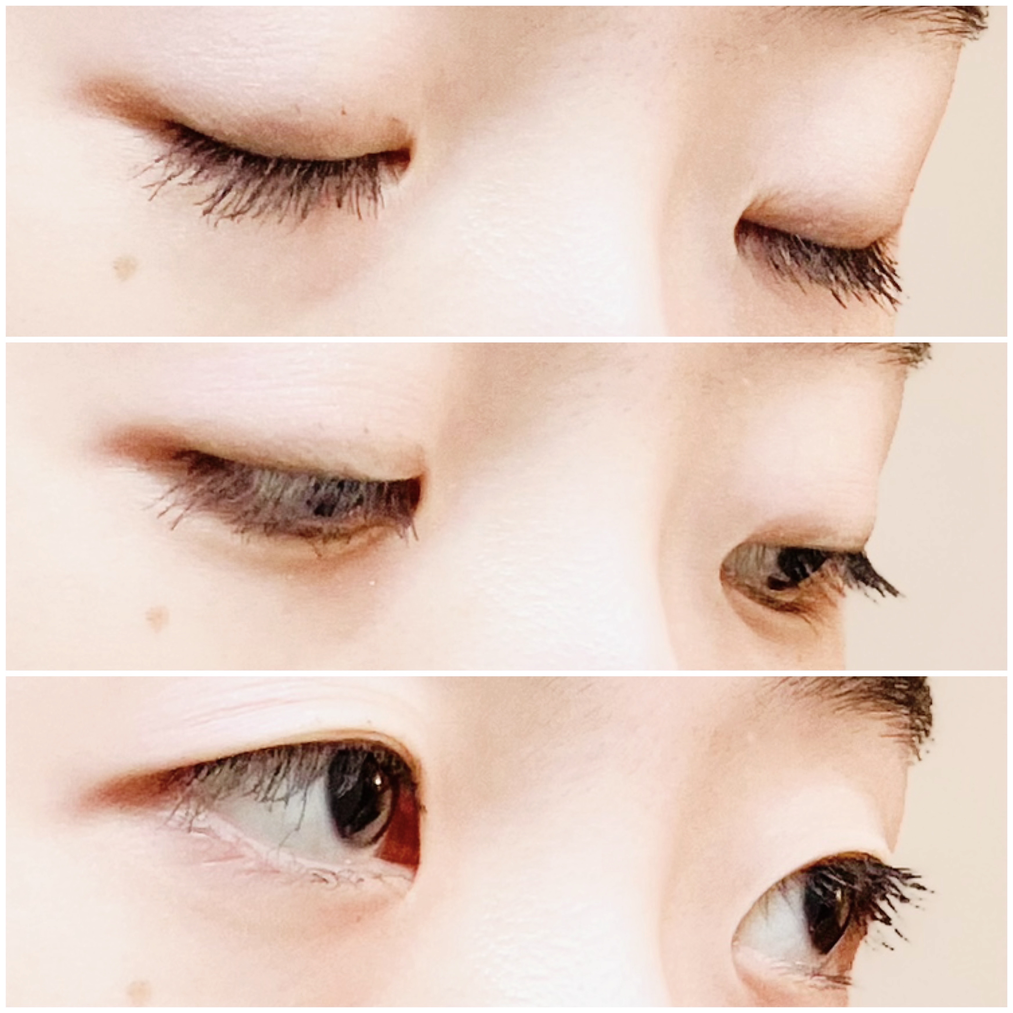 ハンオールフィックスマスカラ/rom&amp;nd/マスカラを使ったクチコミ（3枚目）