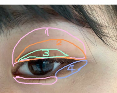 パーフェクトマルチアイズ/キャンメイク/パウダーアイシャドウを使ったクチコミ（3枚目）