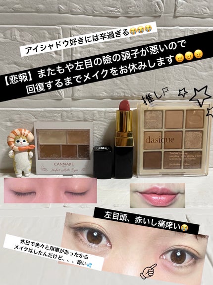 ルージュ ココ/CHANEL/口紅を使ったクチコミ(1枚目)