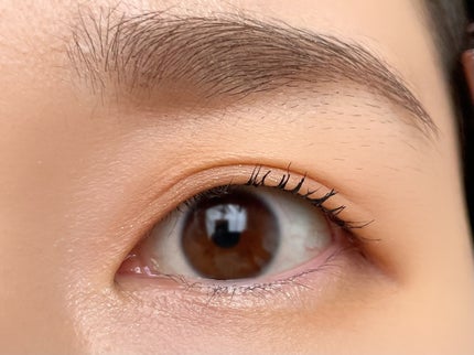 KEYBO FALL IN LOVE SHADOW PALETTE/keybo/アイシャドウパレットを使ったクチコミ(2枚目)