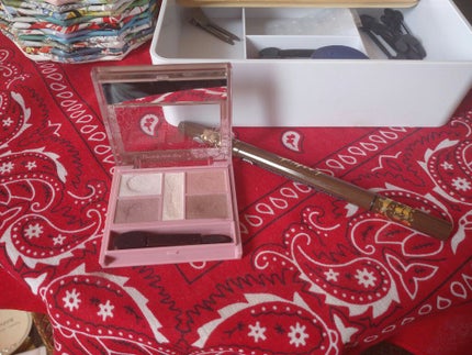 パーフェクトスタイリストアイズ/キャンメイク/アイシャドウパレットを使ったクチコミ(1枚目)